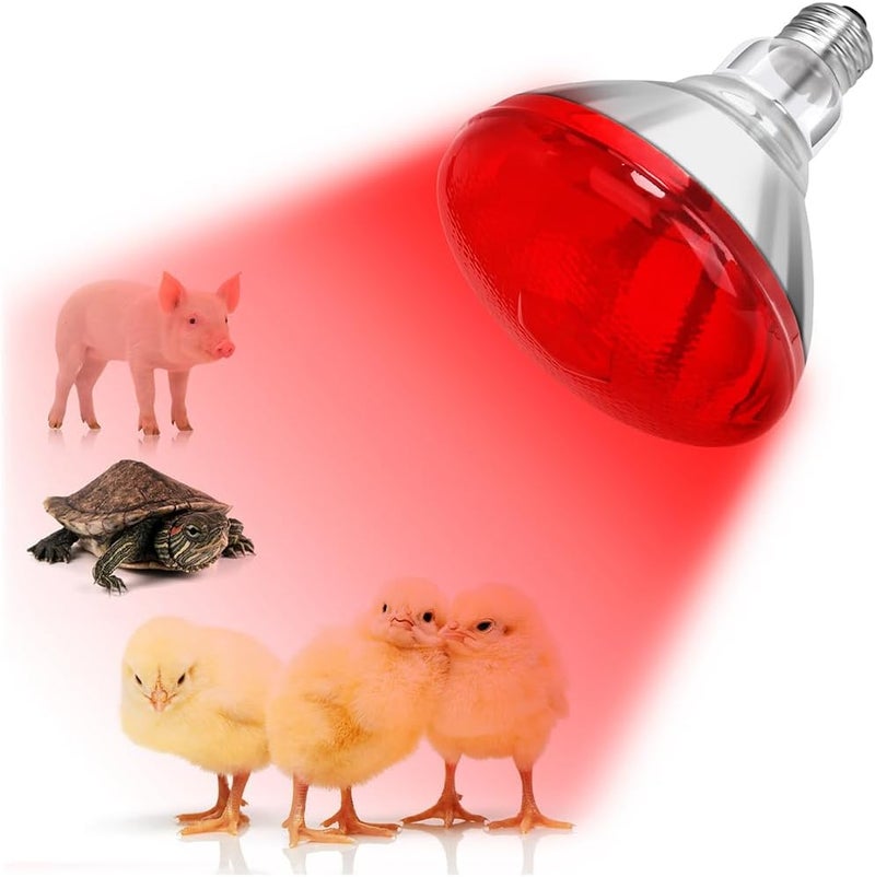 DATOO Infrared Heat Lamp Bulb for Chickens Red Heat Lamp Flood Light Heat Lamp Bulb 150 W Heating Bulbs for Brooder Coops Pets Chicks Reptiles Food Service (2 Pack) - Image 1